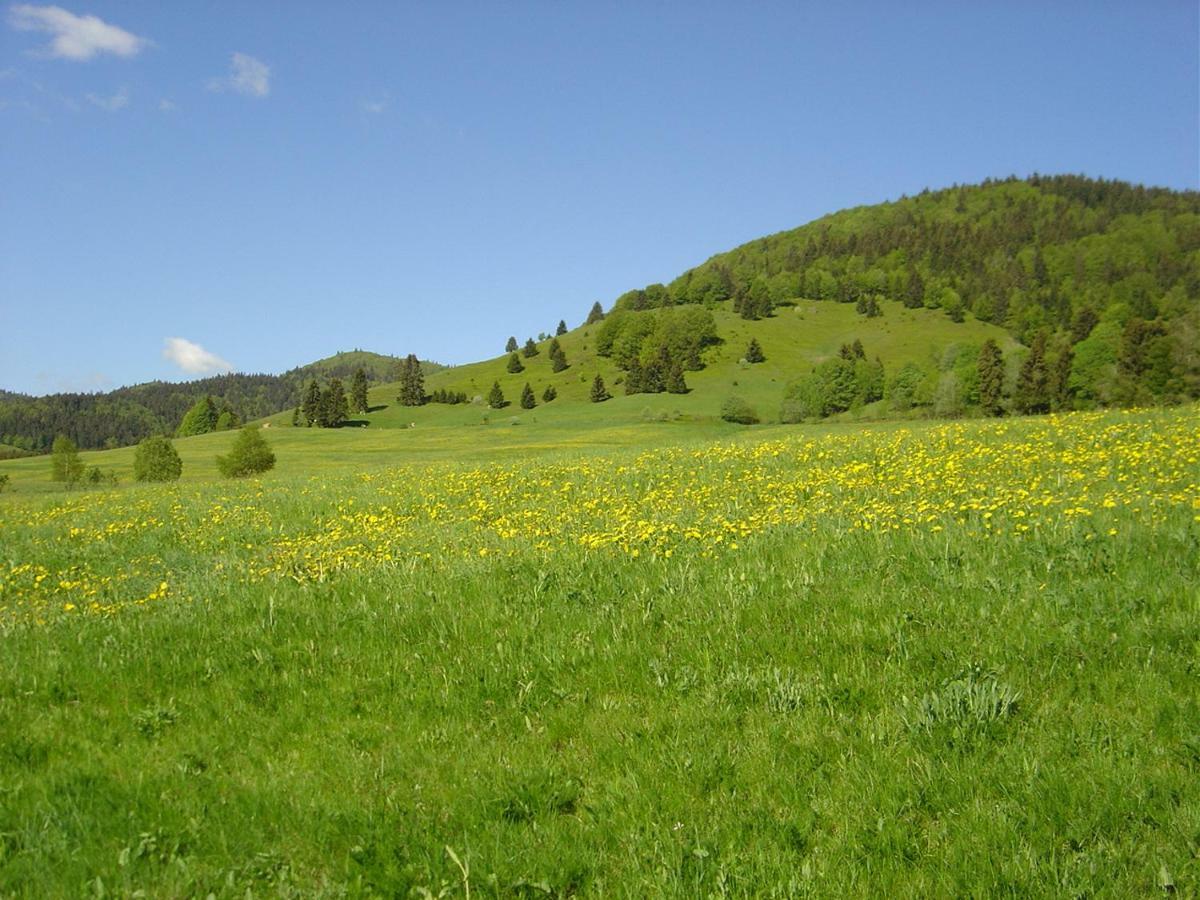 Ferienwohnungen Panoramablick Бернау им Шварцвалд Екстериор снимка